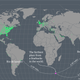Image for article titled A cartographic guide to Starbucks’ global domination